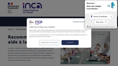 Capture INCa Soins palliatifs