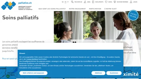 Capture palliative.ch